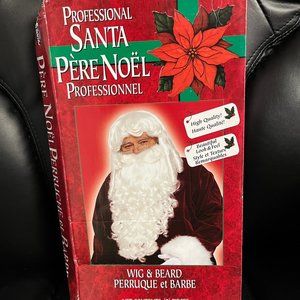 Santa Wig and Beard Adult Size